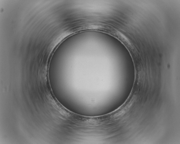 X0000088581178200706081115