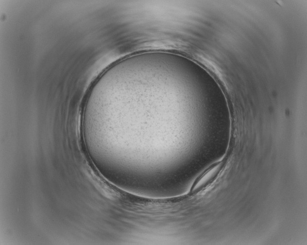 X0000088581179200706081115