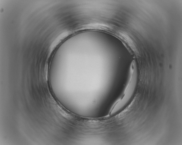 X0000088581180200706081115