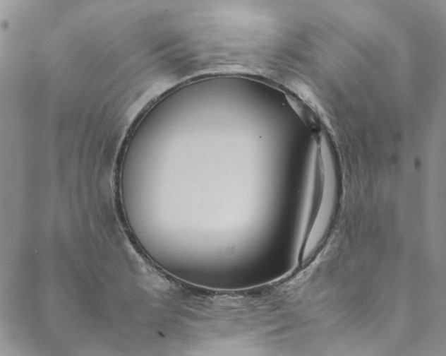 X0000088581181200706081115