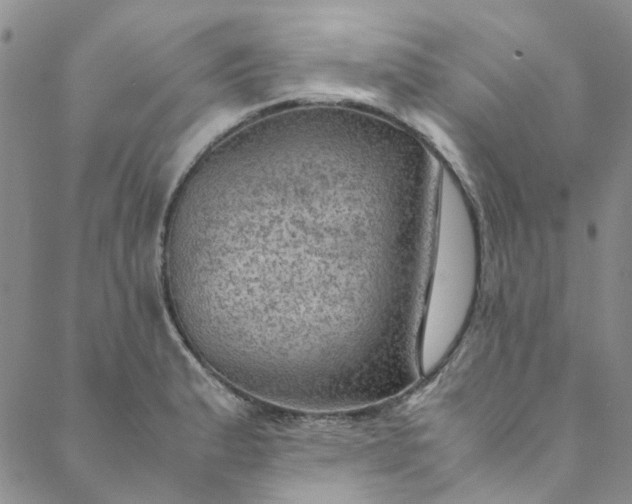 X0000088581183200706081115