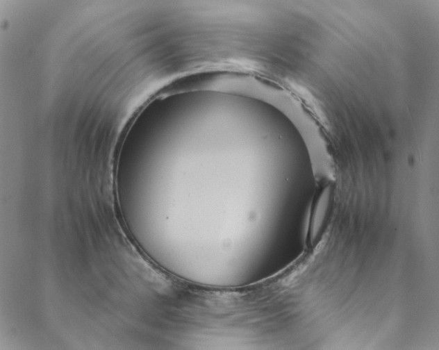 X0000088581184200706081115