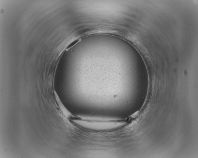 X0000088581185200706081115