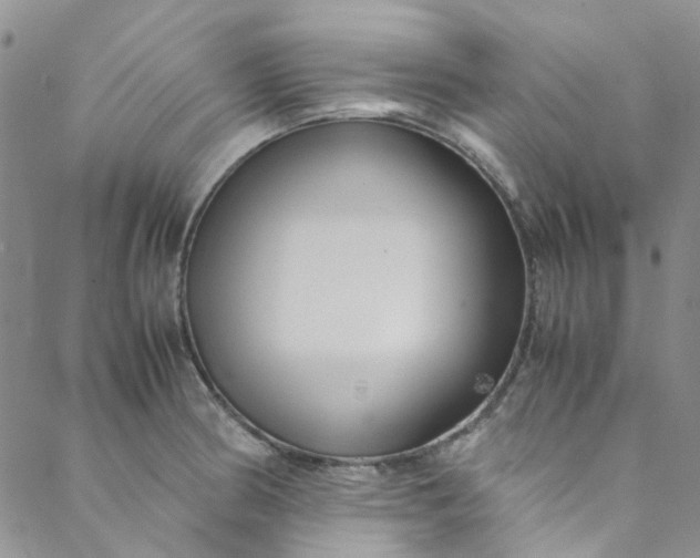 X0000088581186200706081115