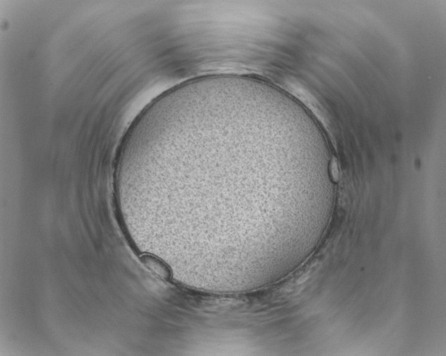 X0000088581187200706081115