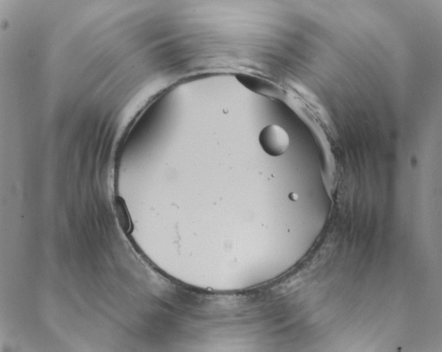 X0000088581188200706081115