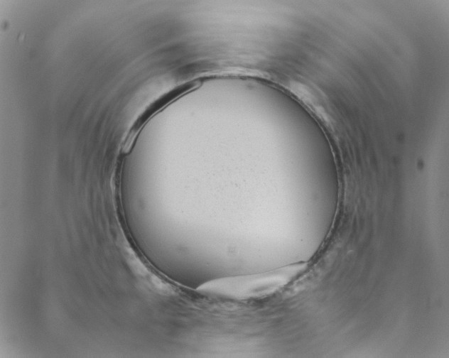 X0000088581189200706081115