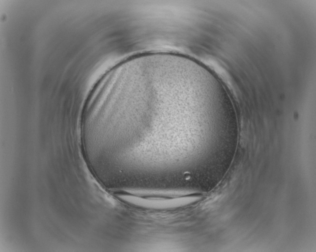 X0000088581191200706081115