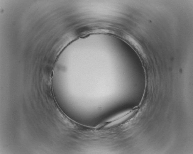 X0000088581193200706081115