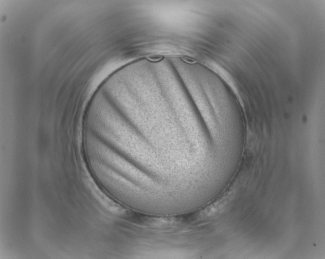 X0000088581195200706081115