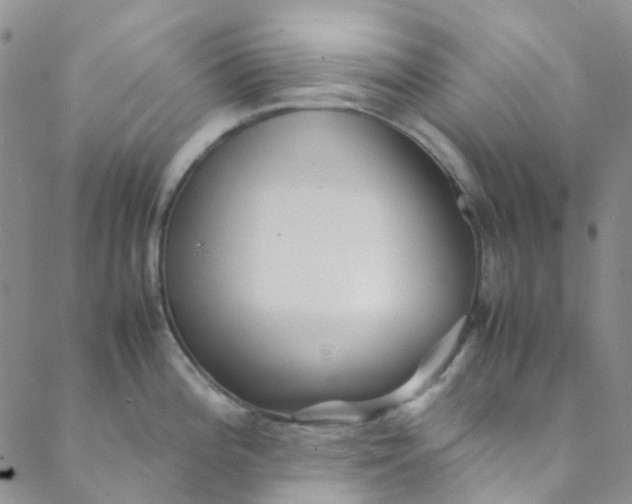 X0000088581196200706081115