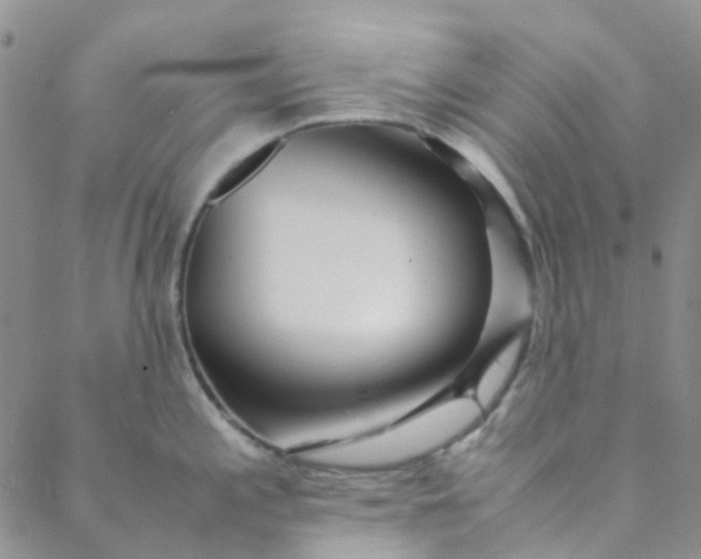 X0000088581197200706081115