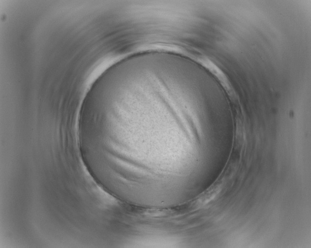 X0000088581199200706081115