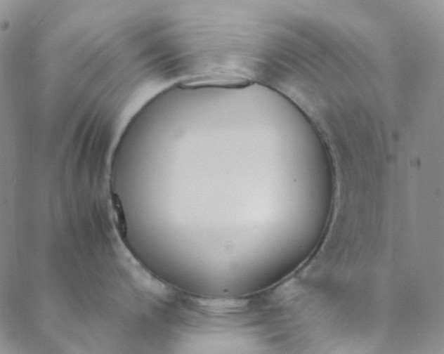 X0000088581200200706081115