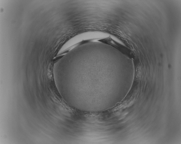 X0000088581202200706081114