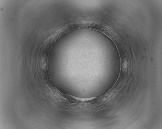 X0000088581204200706081114