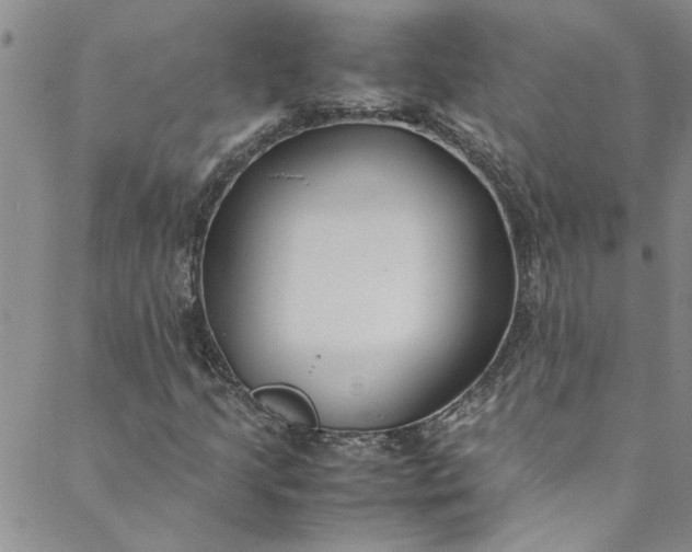 X0000088581205200706081114