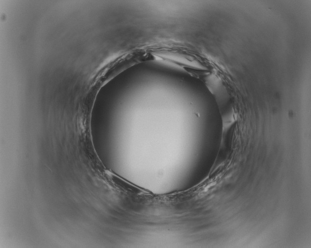 X0000088581206200706081114