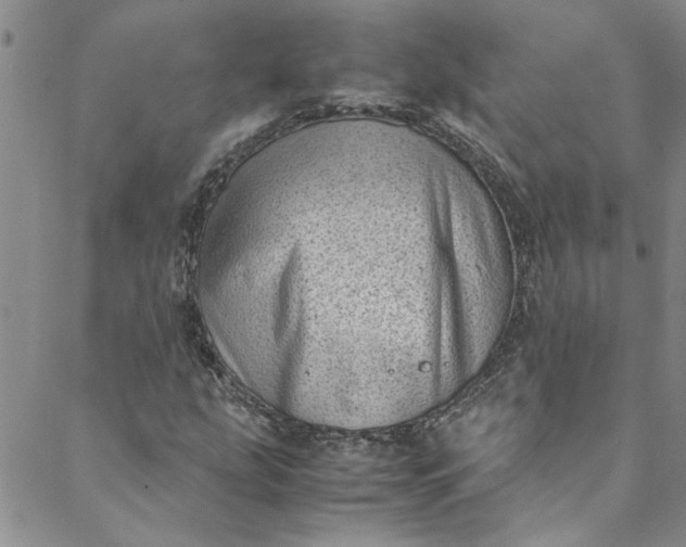 X0000088581207200706081114