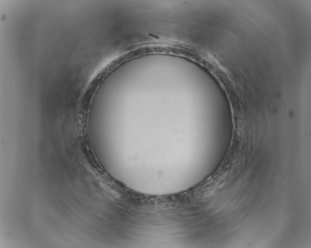 X0000088581208200706081114