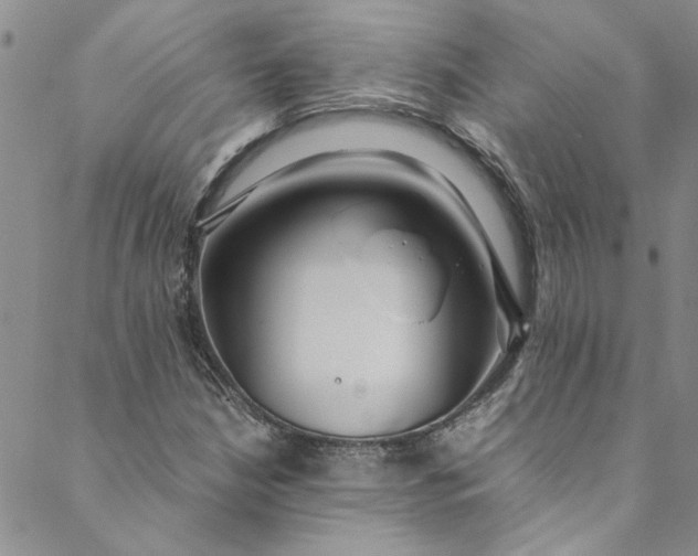 X0000088581210200706081114