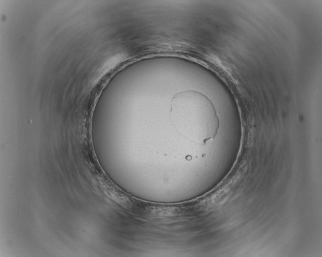 X0000088581211200706081114