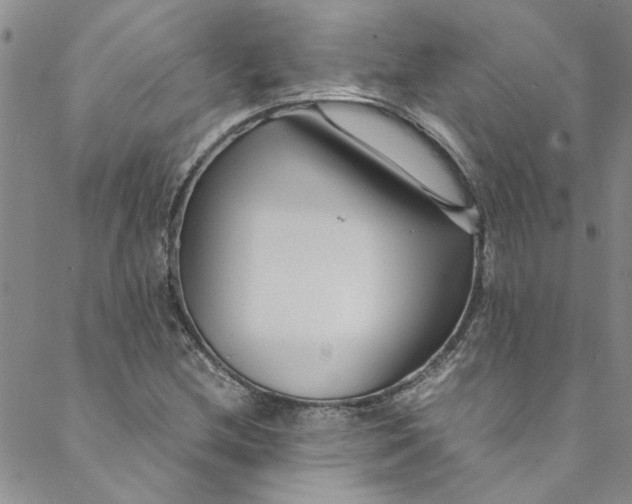 X0000088581212200706081114