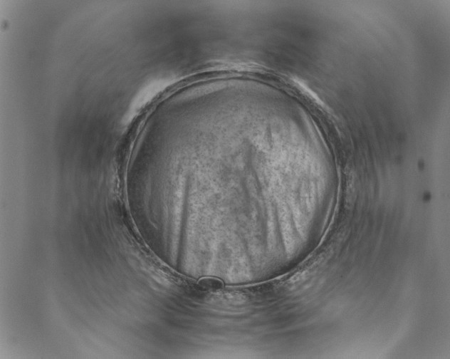 X0000088581215200706081114