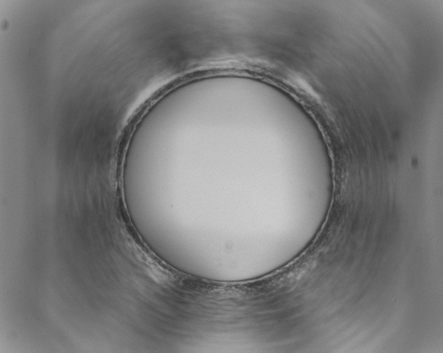 X0000088581216200706081114