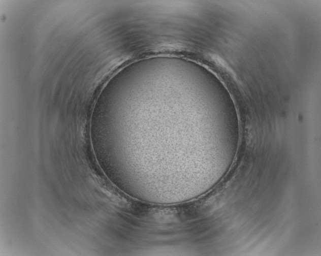 X0000088581217200706081114