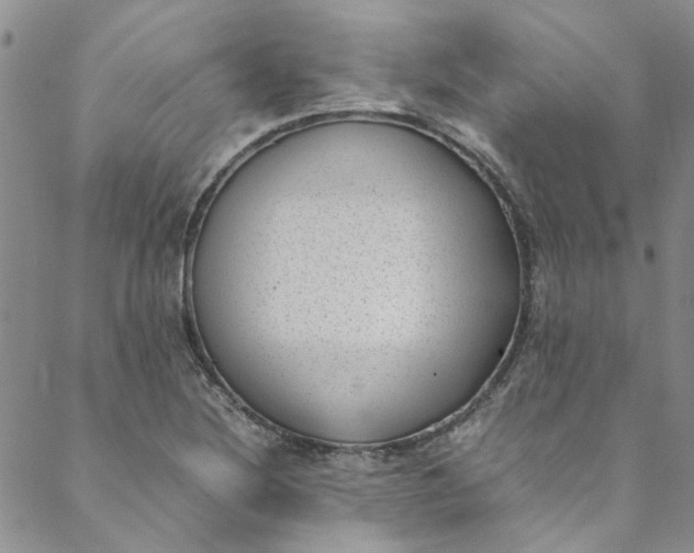 X0000088581220200706081114