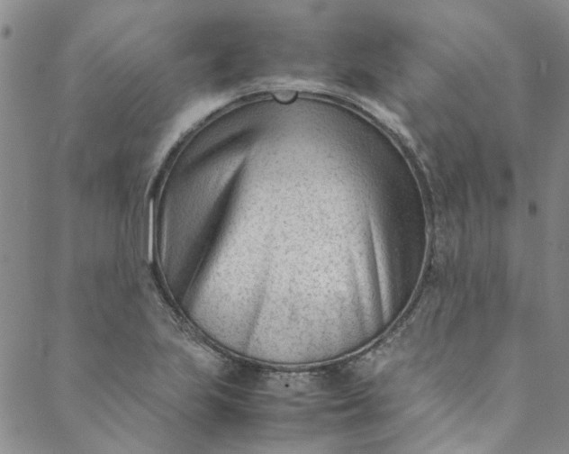 X0000088581223200706081114