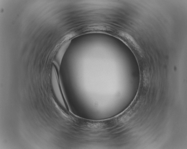 X0000088581225200706081114