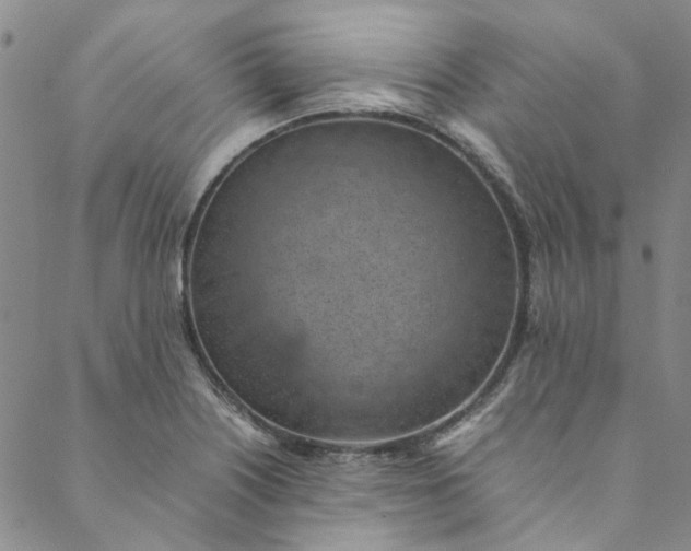 X0000088581226200706081114