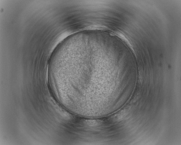 X0000088581227200706081114