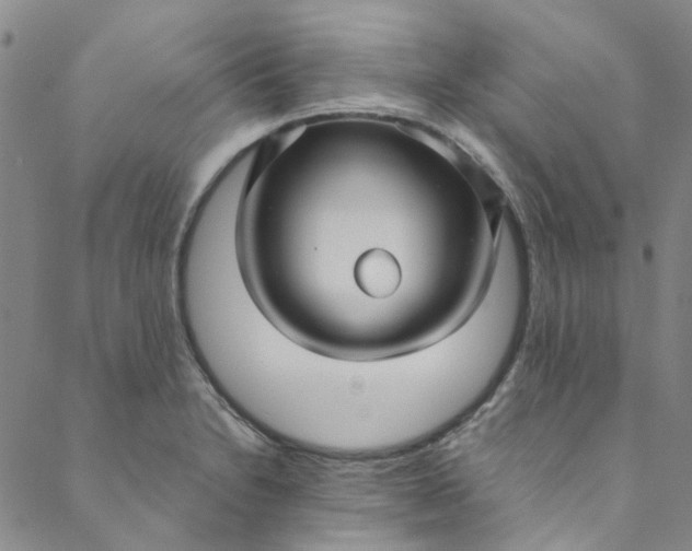 X0000088581230200706081114