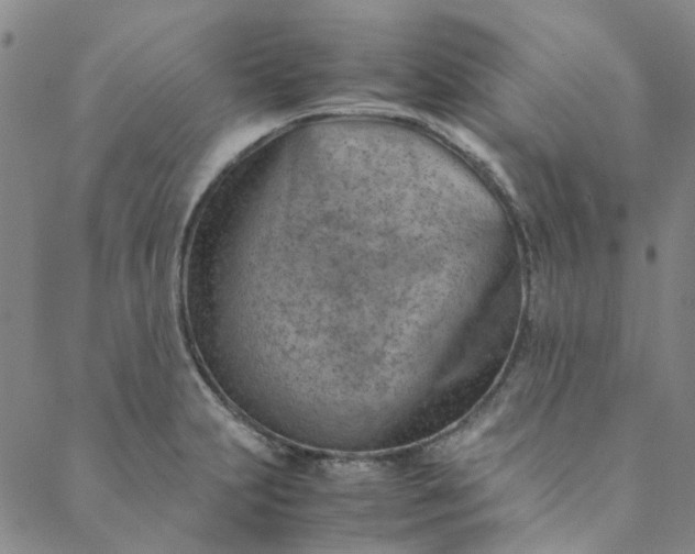 X0000088581231200706081114