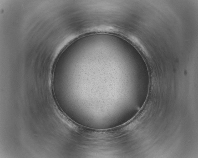 X0000088581232200706081115