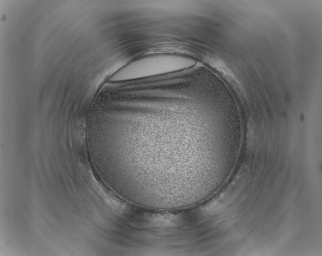 X0000088581233200706081115