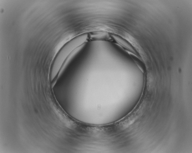 X0000088581234200706081115