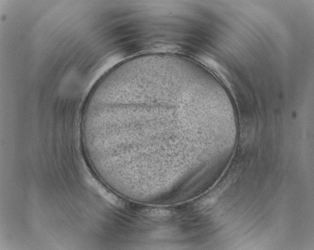 X0000088581235200706081115