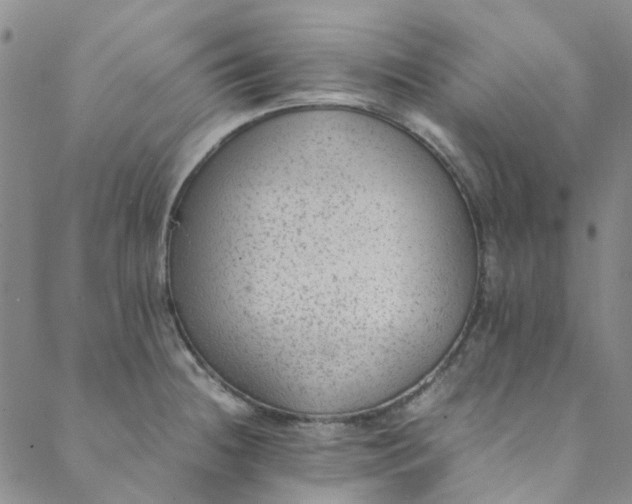 X0000088581236200706081115