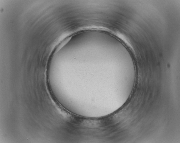 X0000088581237200706081115