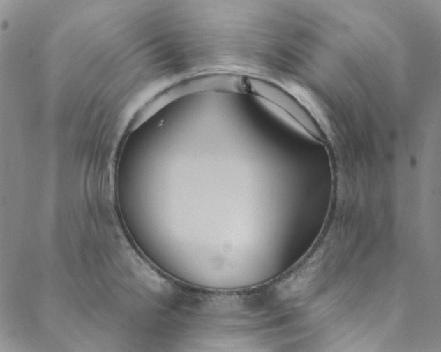 X0000088581238200706081115