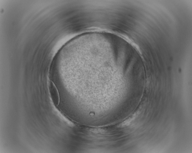 X0000088581239200706081115