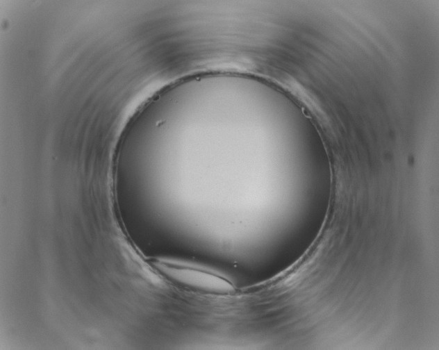 X0000088581240200706081115