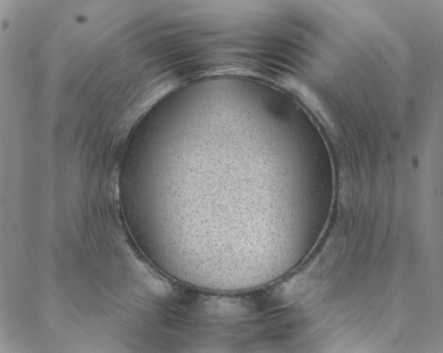 X0000088581241200706081115