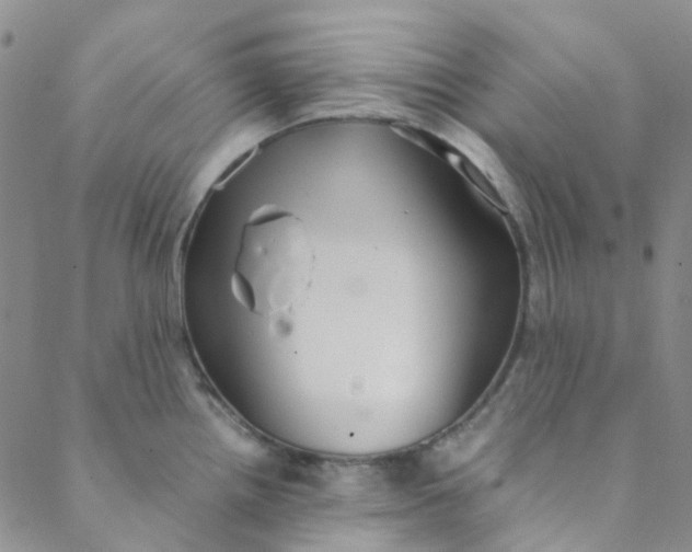 X0000088581242200706081115