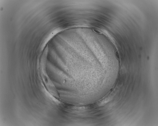 X0000088581243200706081115