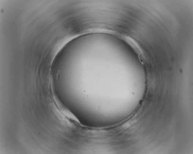 X0000088581244200706081115